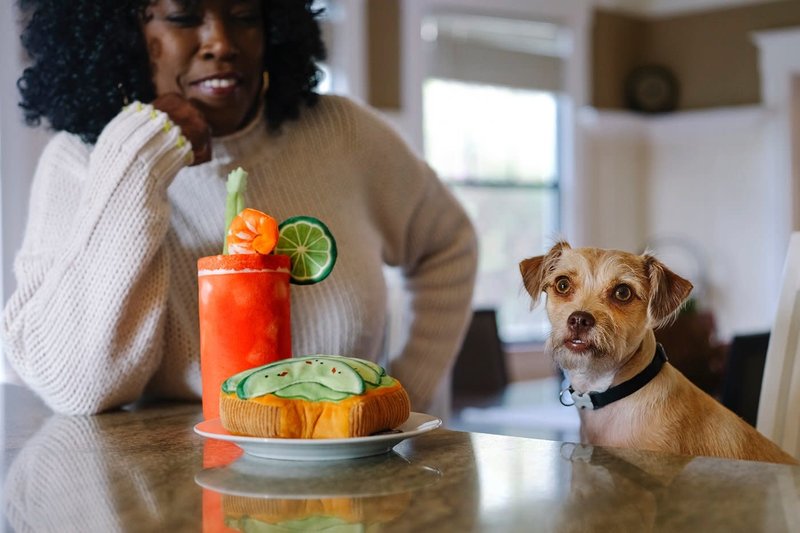 PLAY Barking Brunch Collection - Avocado dog Toast