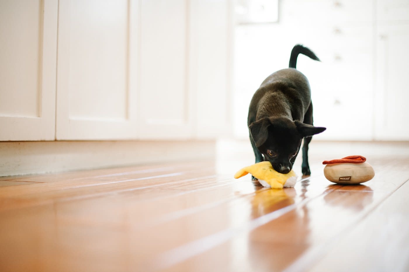 PLAY Barking Brunch Collection - Eggs Benedict Plush Dog Toy