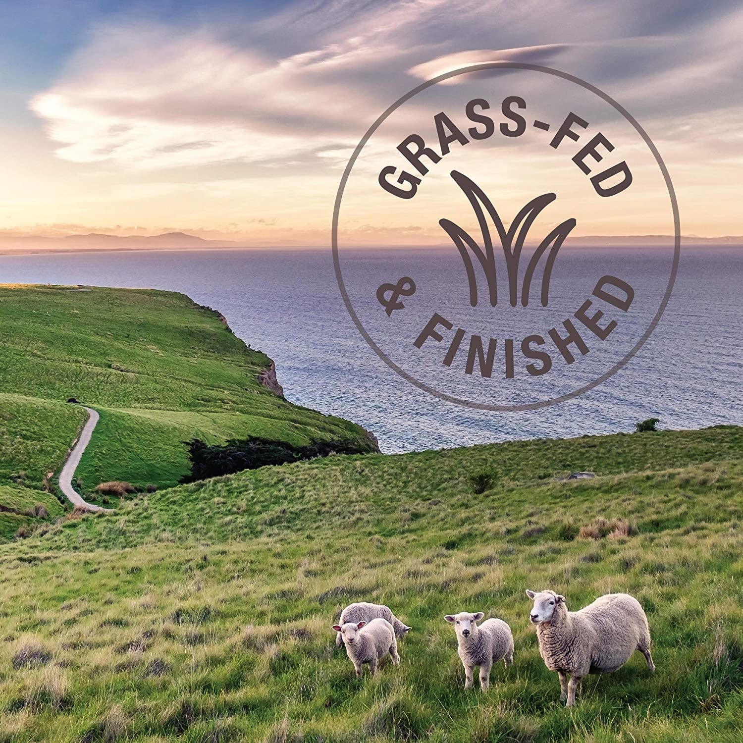 K9 Naturals Chicken Feast Freeze Dried