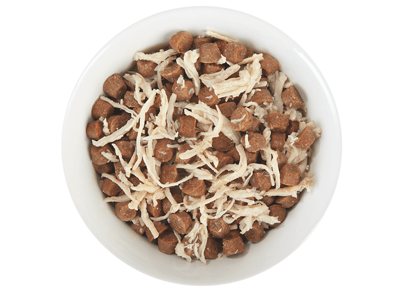 Tiki Cat Tiki Cat Chicken in Broth Pouch 1.3oz