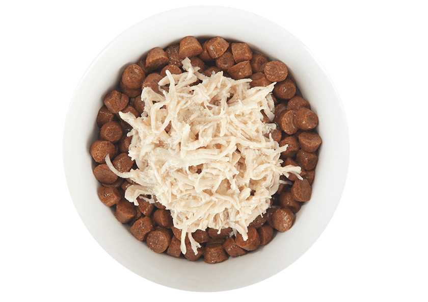 Tiki Cat Tiki Cat Chicken in Broth Pouch 1.3oz