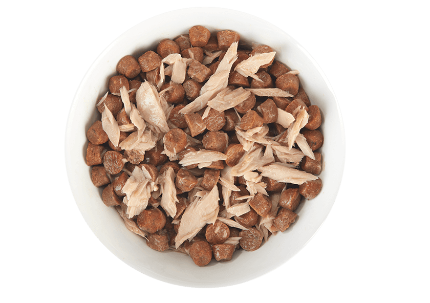 Tiki Cat Tuna in Broth Pouch 1.3oz