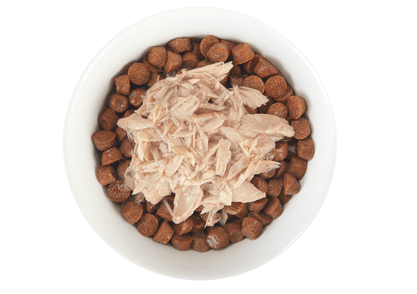 Tiki Cat Tuna in Broth Pouch 1.3oz