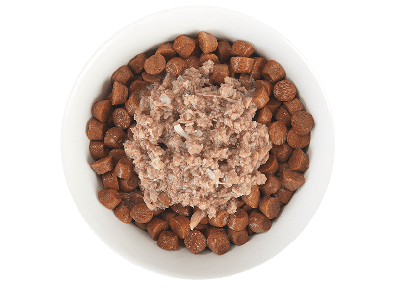 Tiki Cat Duck & Chicken in broth pouch 1.3oz