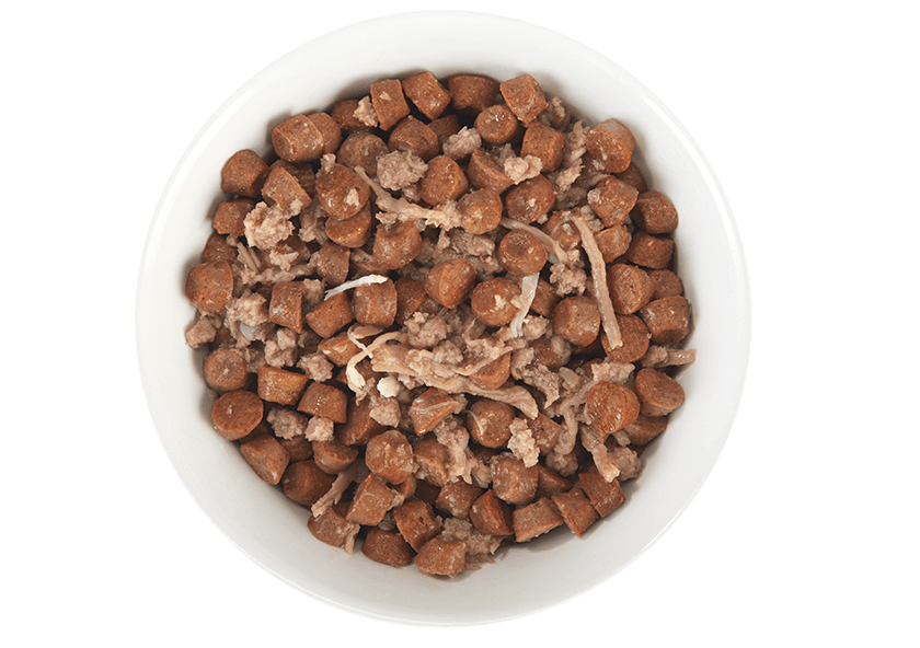 Tiki Cat Duck & Chicken in broth pouch 1.3oz