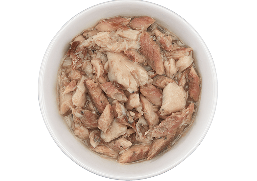 Tiki Cat Oahu Luau - Seabass