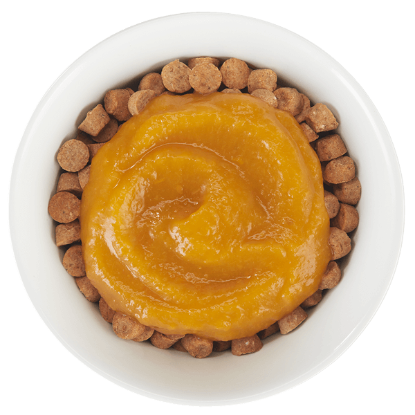 Tiki Cat Tummy Topper Pumpkin & Wheatgrass 1.5oz