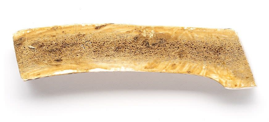 This & That Enhanced Antler - Everest Cheese