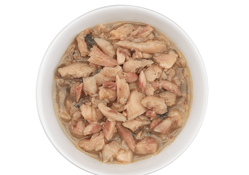 Tiki Cat Tiki Cat Olani Luau - Tilapia