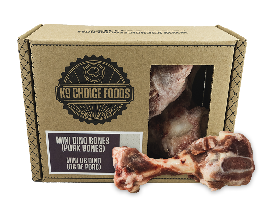 K9 Choice Mini Dino Bones 3 Pack
