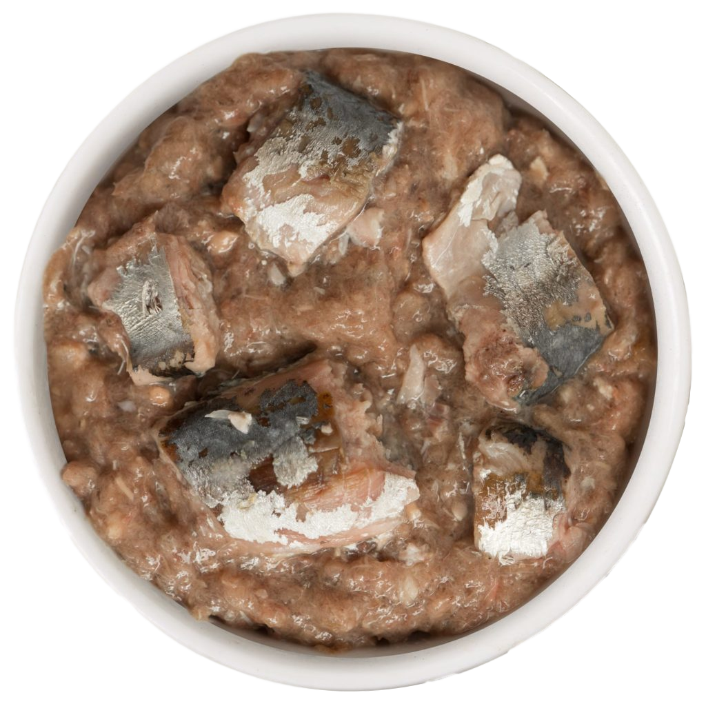 Weruva Cats in the kitchen - Kitty Gone Wild