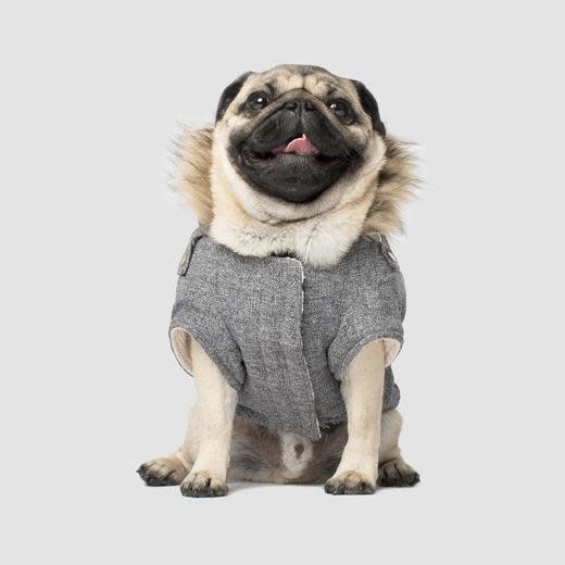 Canada Pooch Army Parka - Salt & Pepper