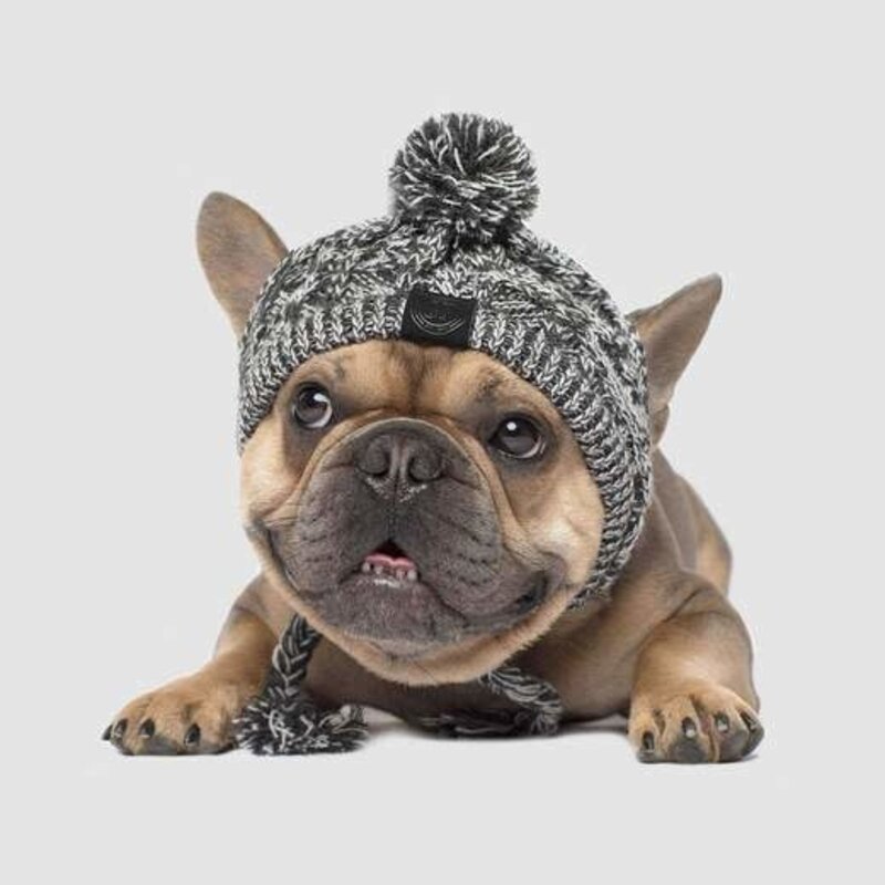 Canada Pooch PomPom Hat - Charcoal