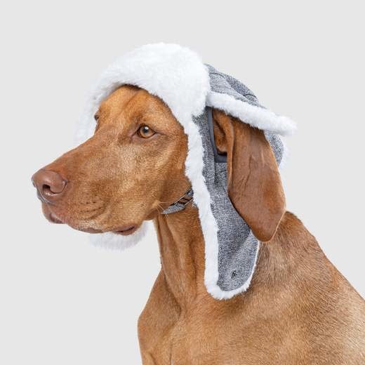 Canada Pooch Arctic Hat - Grey