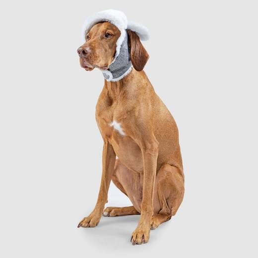 Canada Pooch Arctic Hat - Grey