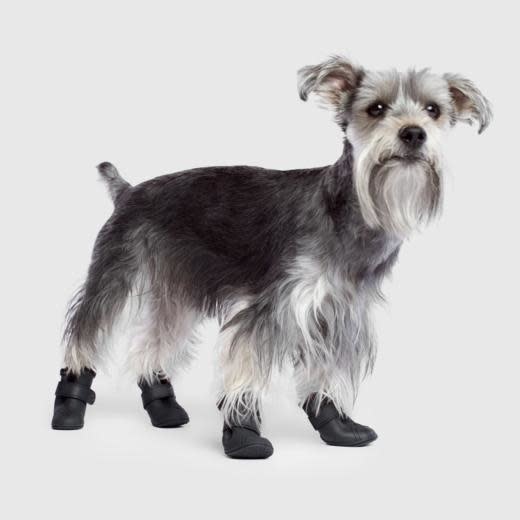 Canada Pooch Lined Wellies - Black