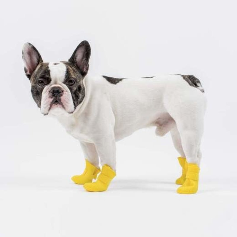 Canada Pooch Unlined Wellies - Yellow