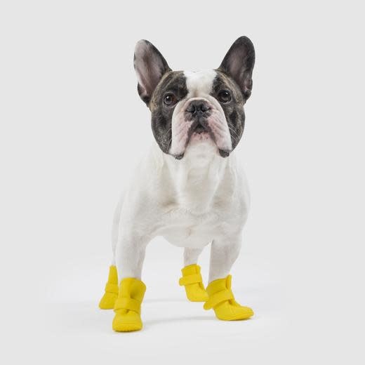 Canada Pooch Unlined Wellies - Yellow
