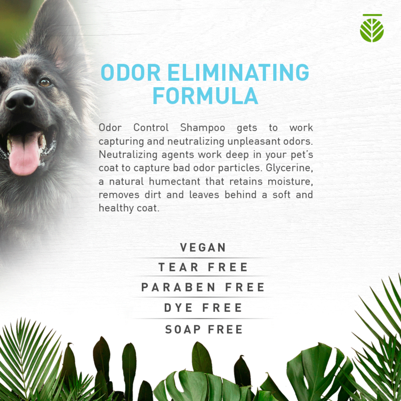 Amazonia Pet care Dog & Cat Shampoo Odor Control, Odor Eliminating Formula 16.9 Oz