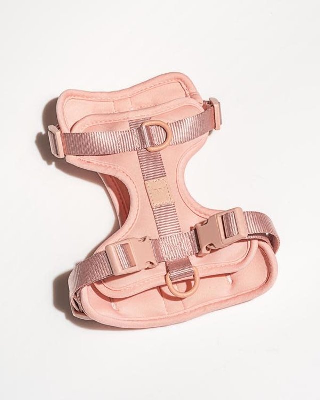 Wild One Harness 2.0 Pink