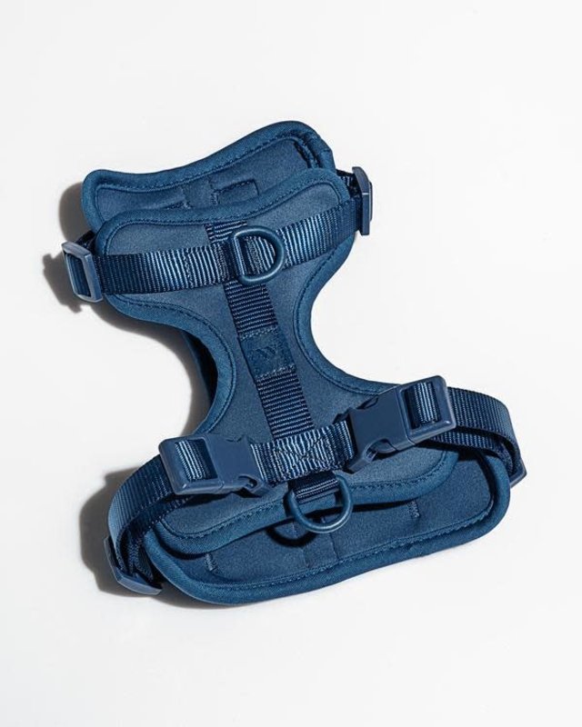 Wild One Harness 2.0 Blue