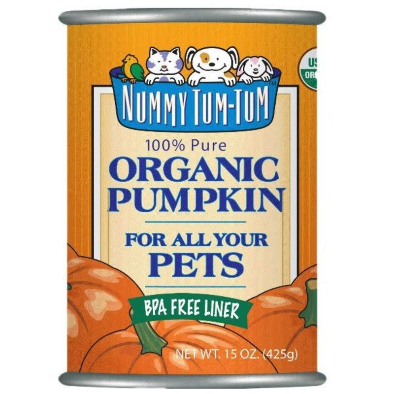 Nummy Tum-Tum Nummy Tum Tum Organic Pumpkin