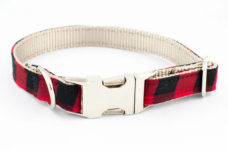 The Rover Boutique Lake Tahoe Pointed Collar