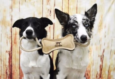 Tall Tails Natural Leather & Wool Bone Tug Toy - 16"