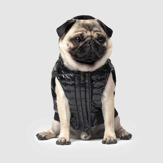 Canada Pooch Shiny Puffer Vest - Black