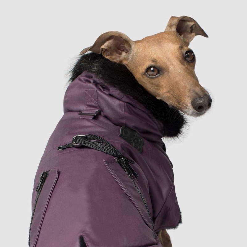 Canada Pooch Urban Wax Parka Magenta