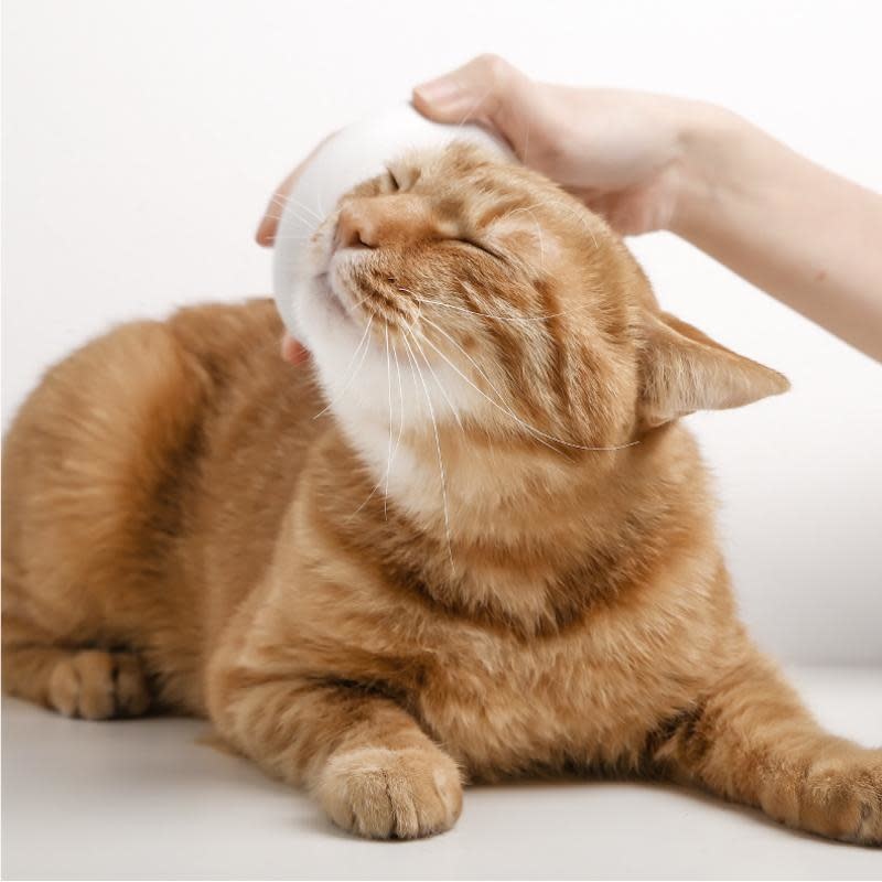Pidan Amusing Comma Pet Brush