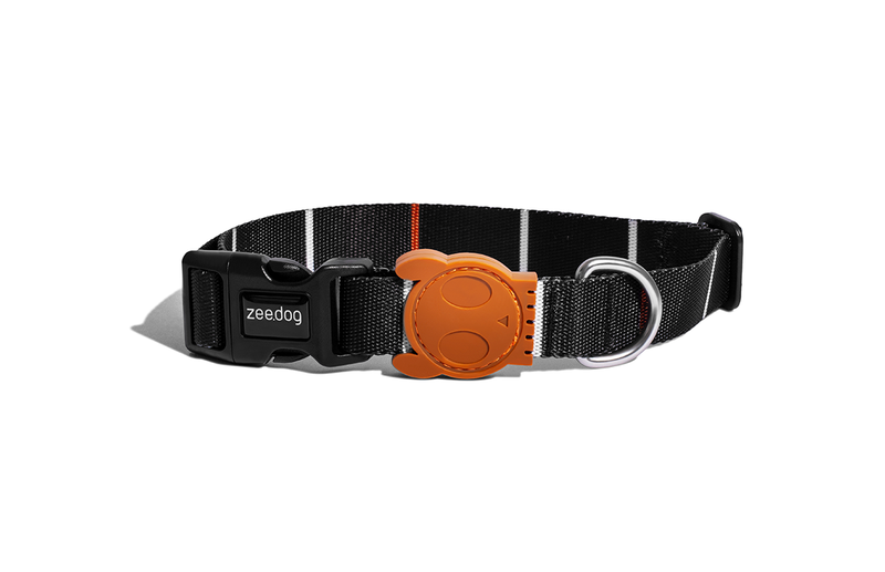 Zee Dog Patagonia Collar