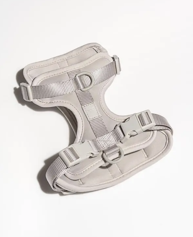 Wild One Harness 2.0 Gray