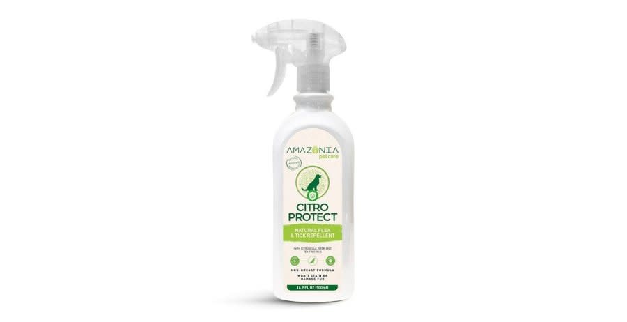 Natural flea tick repellent cheap