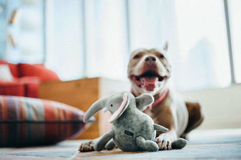 PLAY Plush Toy Elephant