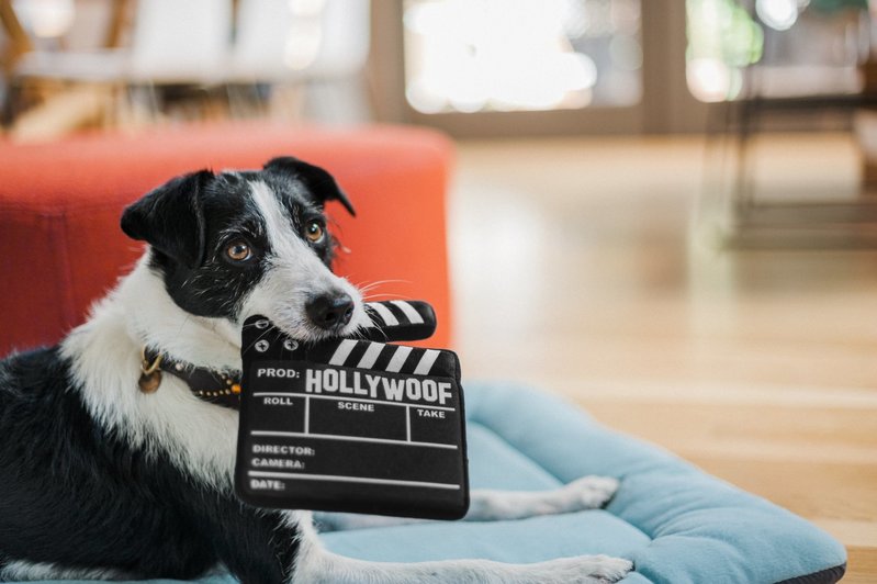 PLAY Plush Toy Hollywoof Cinema Collection - Doggy Director Board