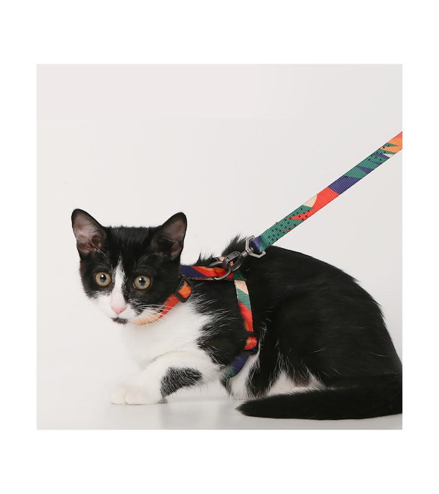Pidan Pidan Cat Harness and Leash Set Multicolor