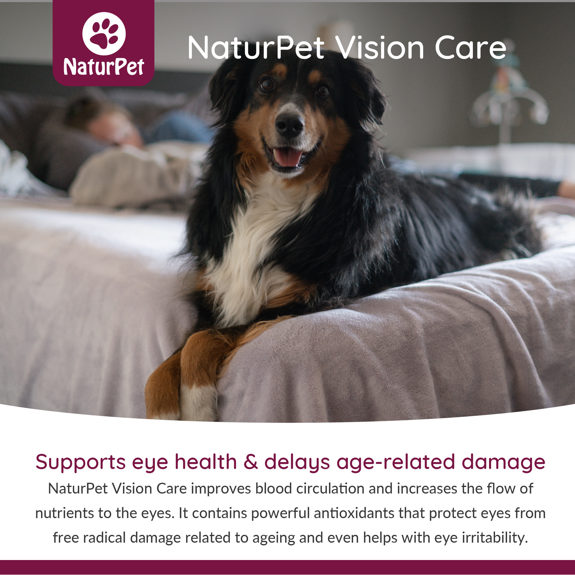Naturpet NaturPet Vision Care