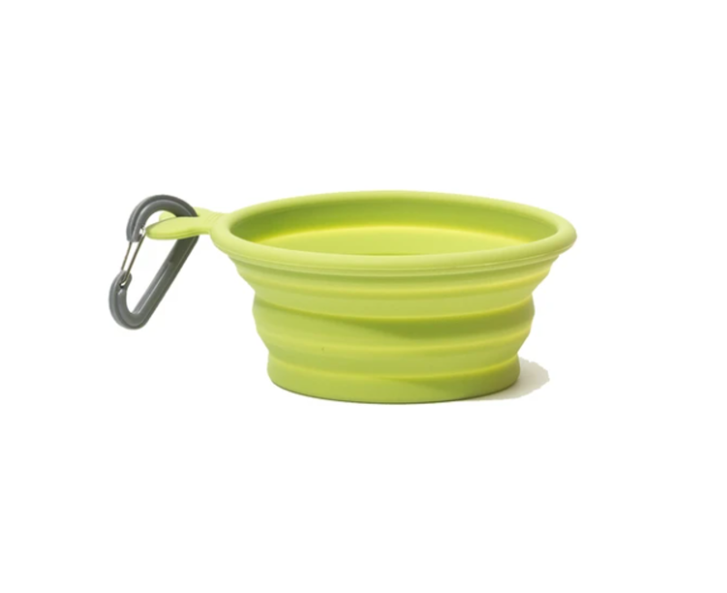 Messy Mutts Silicone Collapsible Bowl Green