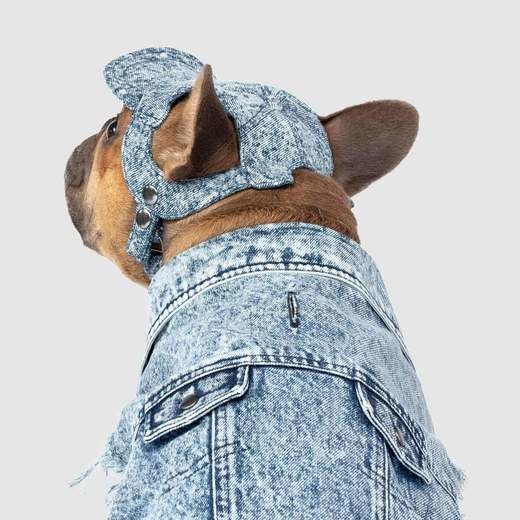 Canada Pooch Comeback Dog Cap Blue