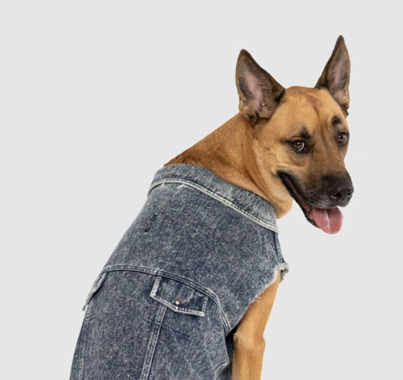 Canada Pooch Downtown Denim Vest Blue