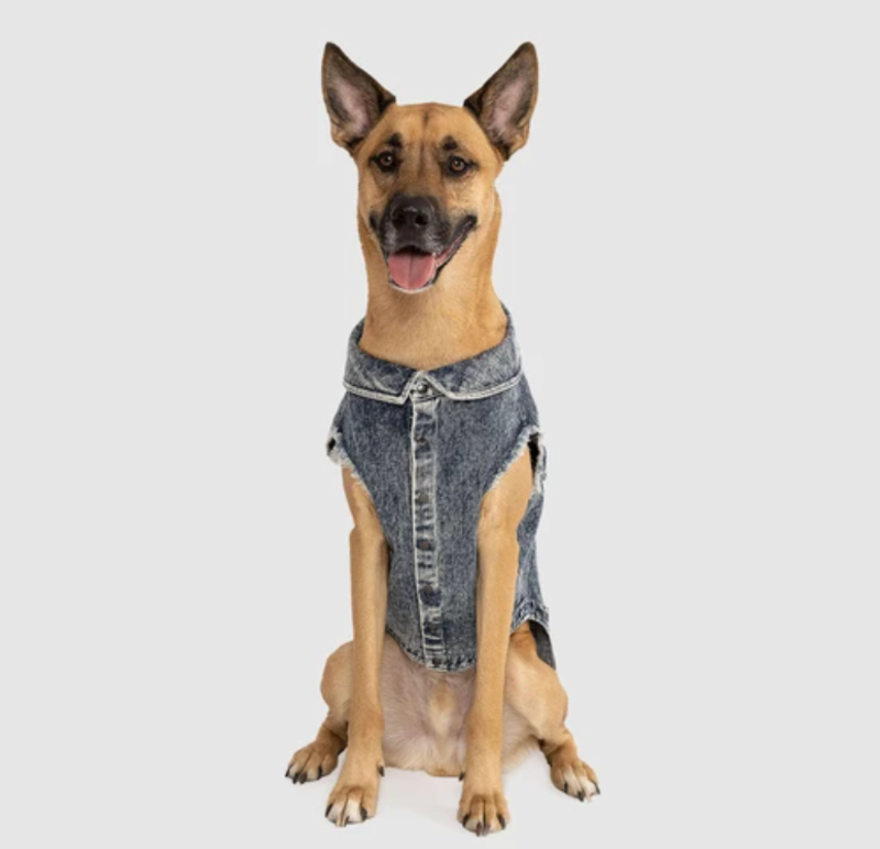 Canada Pooch Downtown Denim Vest Blue