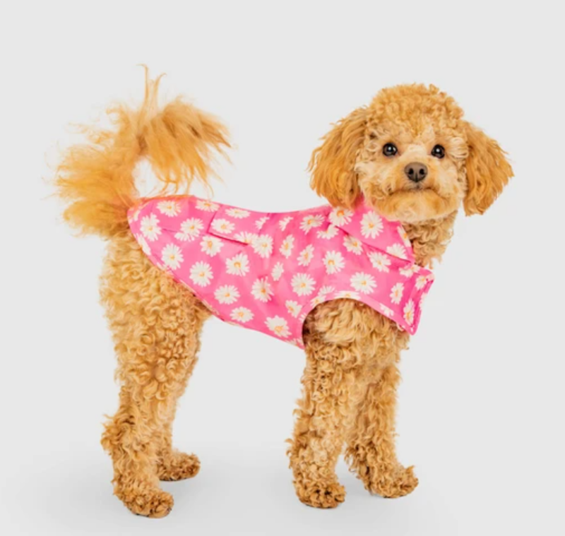 Canada Pooch Pick Me Poncho Daisy