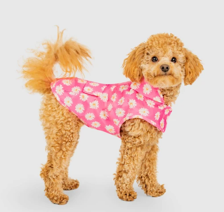 Canada Pooch Pick Me Poncho Daisy