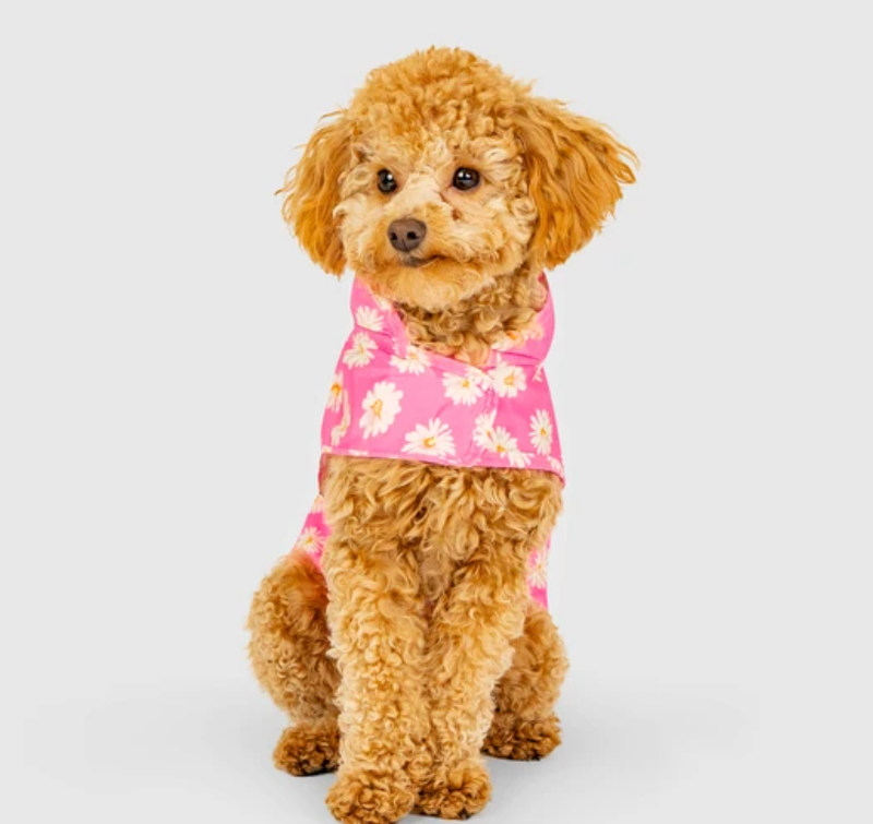 Canada Pooch Pick Me Poncho Daisy