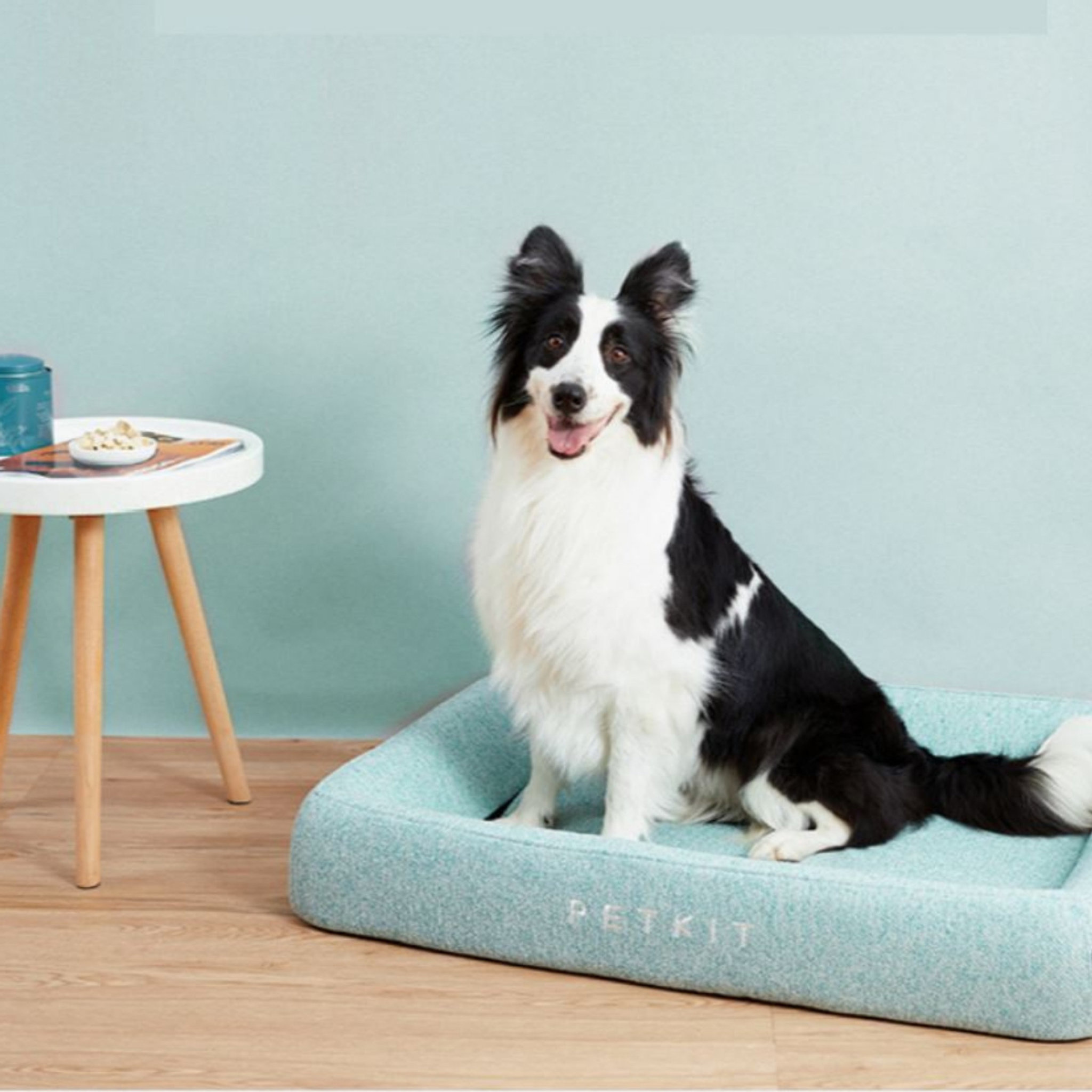 Petkit Deep Sleep All-Season Pet Bed