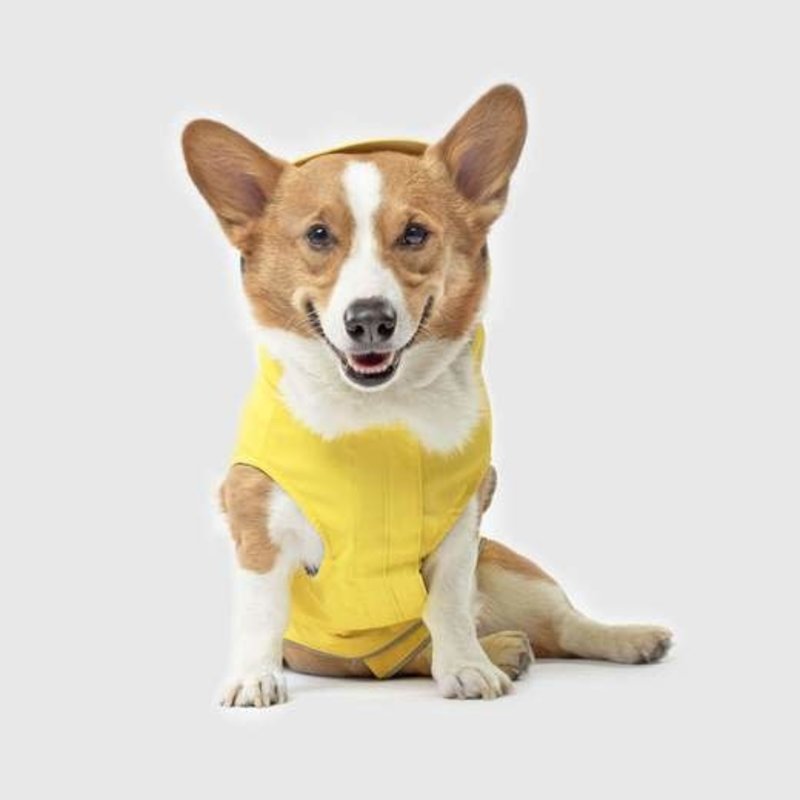 Canada Pooch Torrential Tracker Yellow