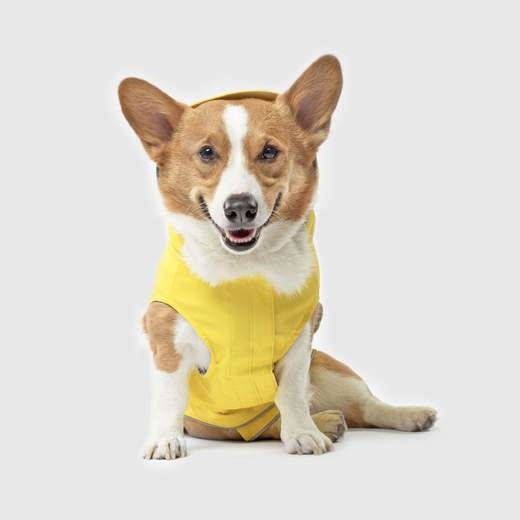 Canada Pooch Torrential Tracker Yellow