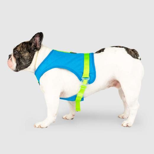 Canada Pooch Chill Seeker Cooling Harness Blue