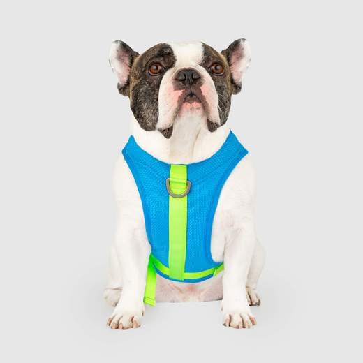 Canada Pooch Chill Seeker Cooling Harness Blue